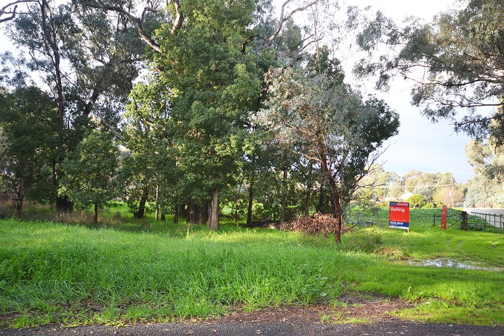 54 Baylis Street MANGOPLAH 4