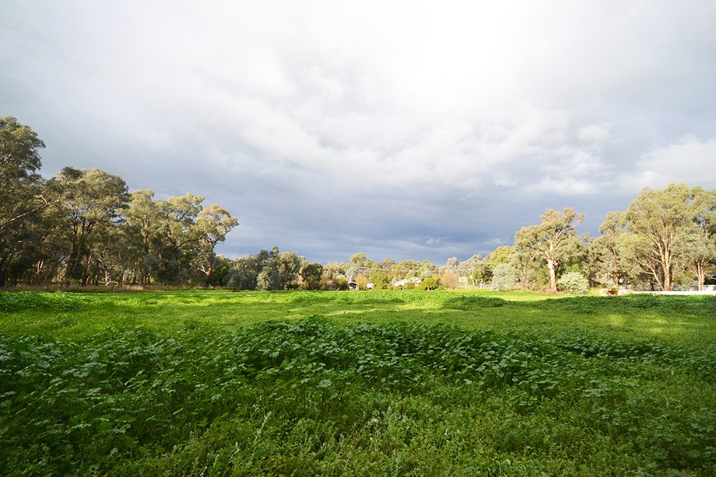 54 Baylis Street MANGOPLAH 5