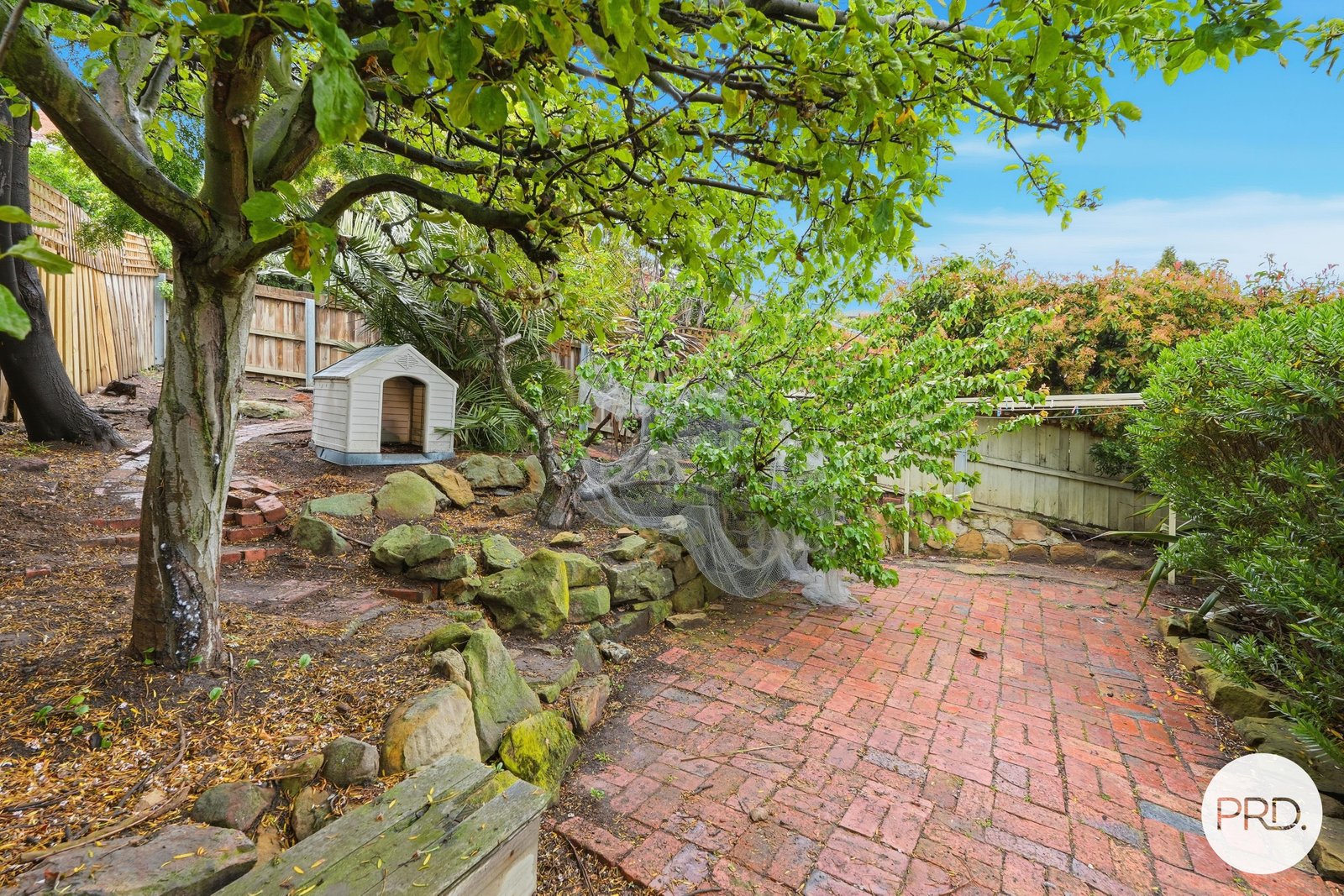 54 Begonia Street LINDISFARNE 16