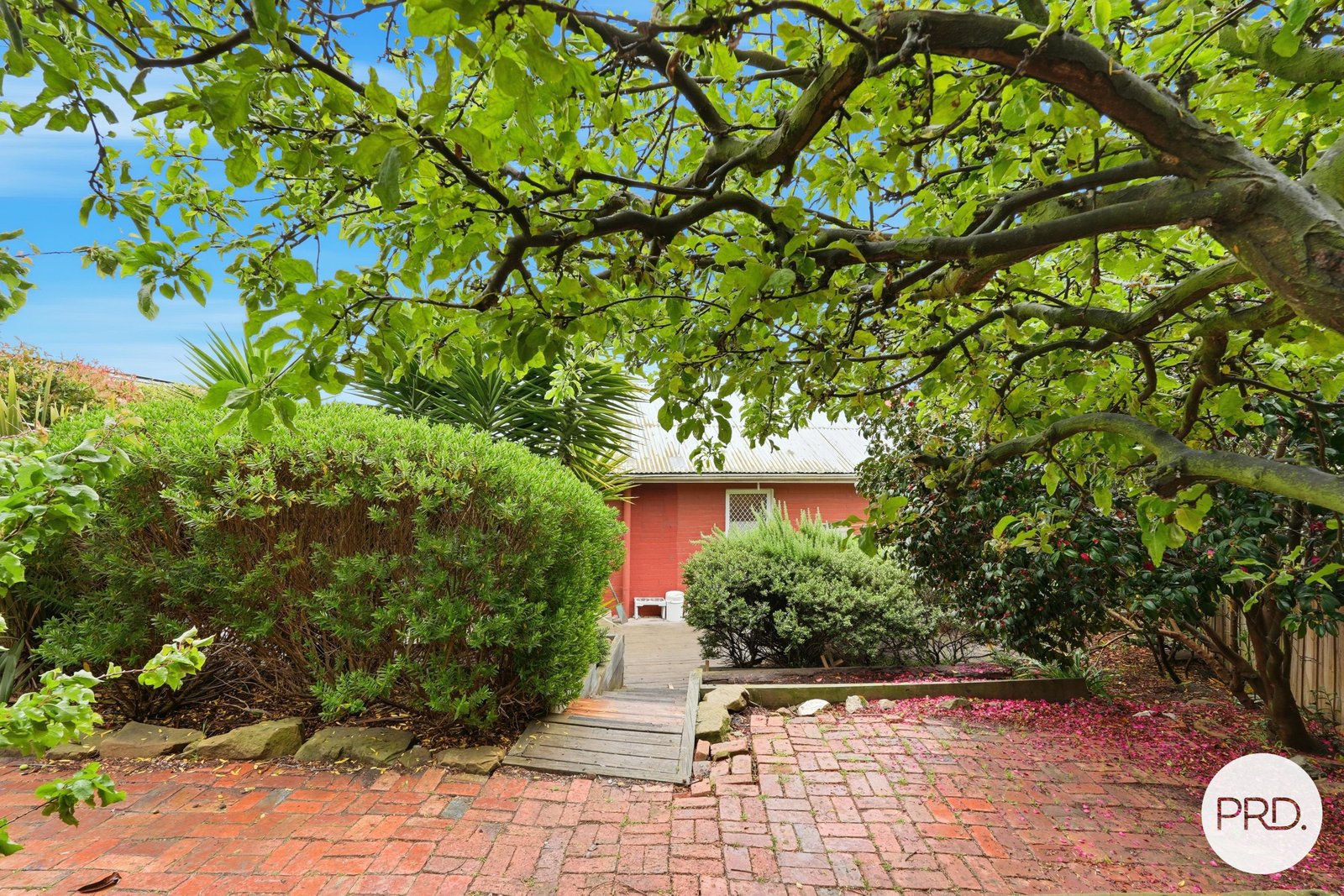 54 Begonia Street LINDISFARNE 17