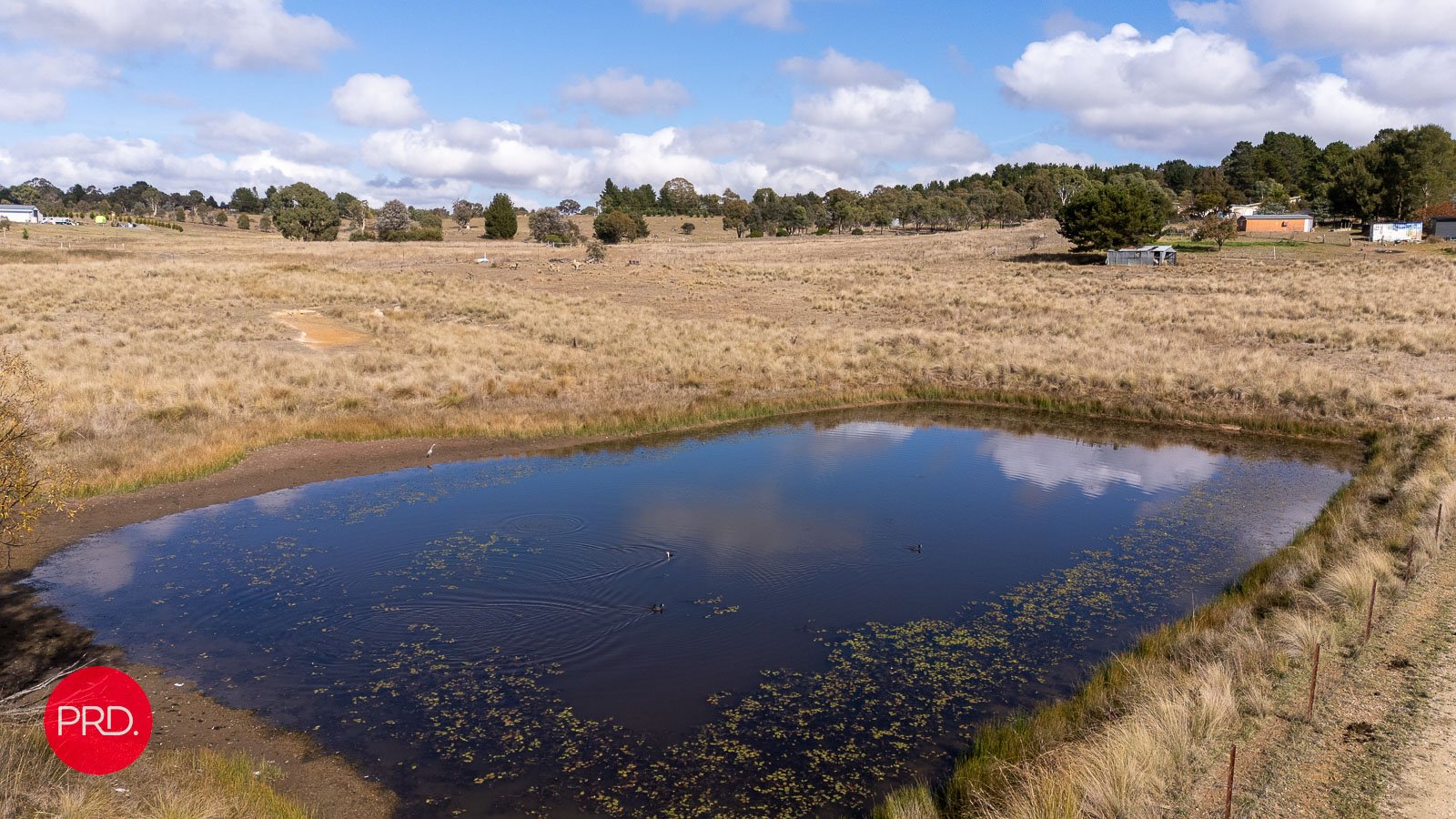 54 Brooks Road BYWONG 19