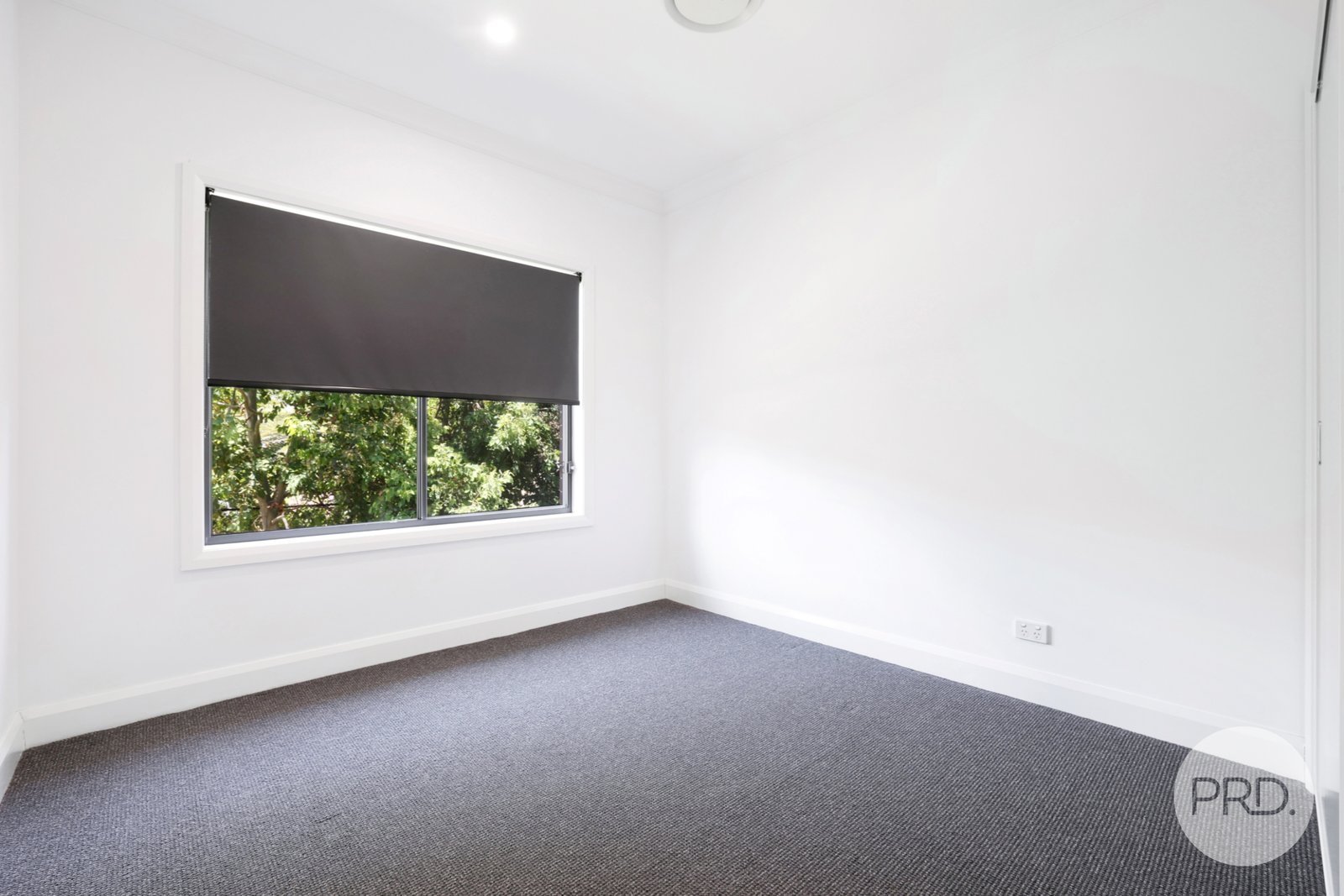54 Carthage Street TAMWORTH 16
