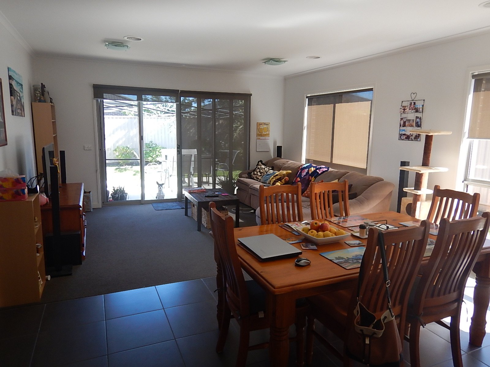 54 Clovedale Ave  ALFREDTON 2