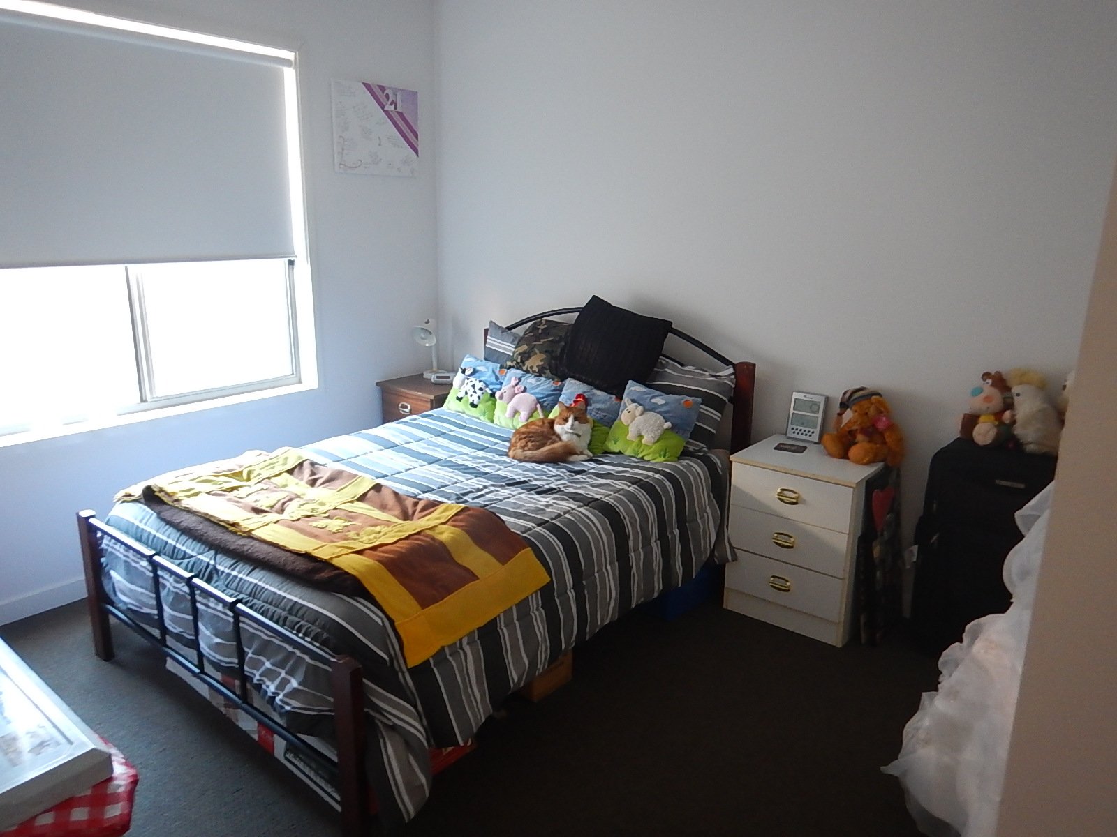 54 Clovedale Ave  ALFREDTON 5