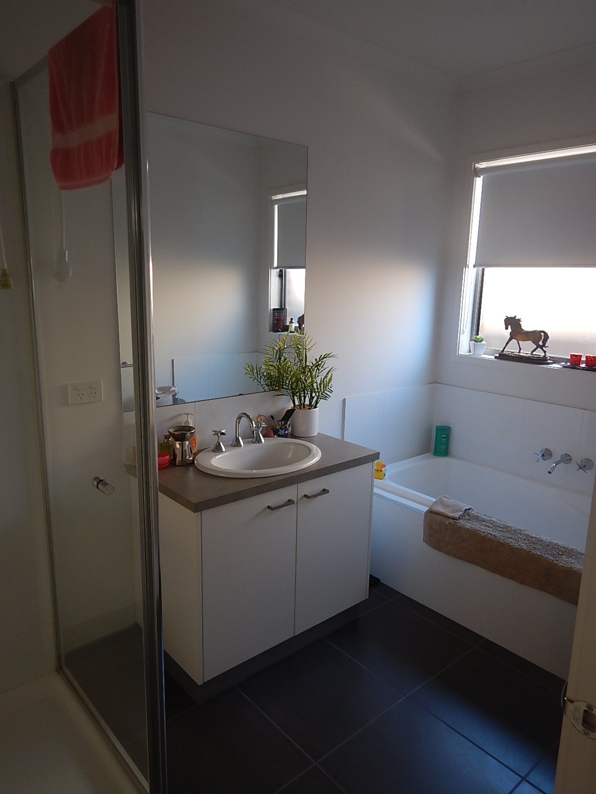 54 Clovedale Ave  ALFREDTON 6