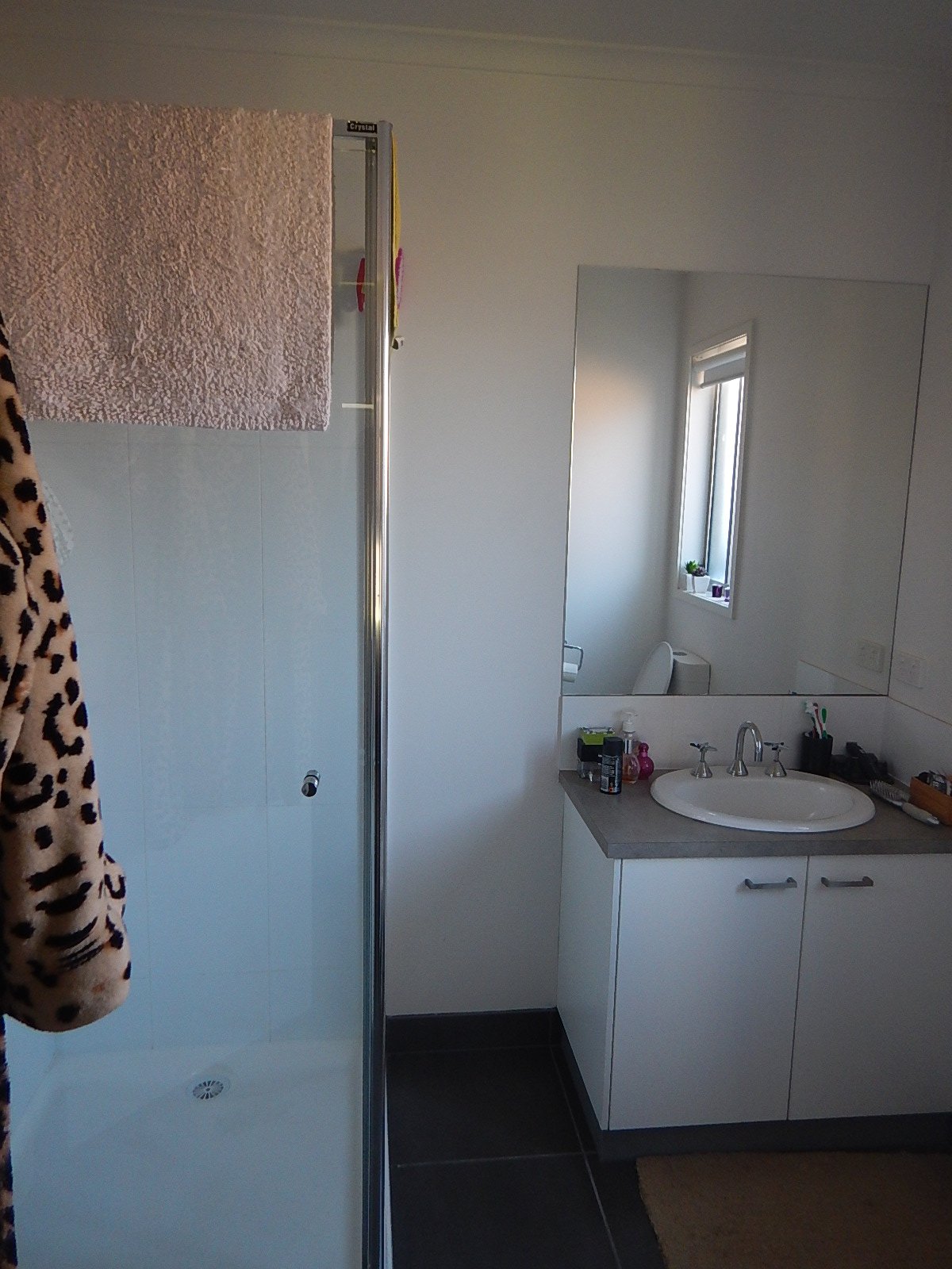 54 Clovedale Ave  ALFREDTON 7