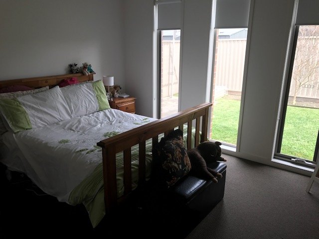 54 Clovedale Ave  ALFREDTON 8