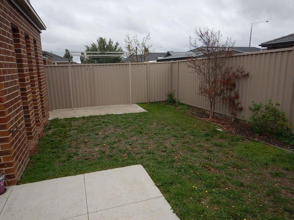 54 Clovedale Avenue ALFREDTON 11