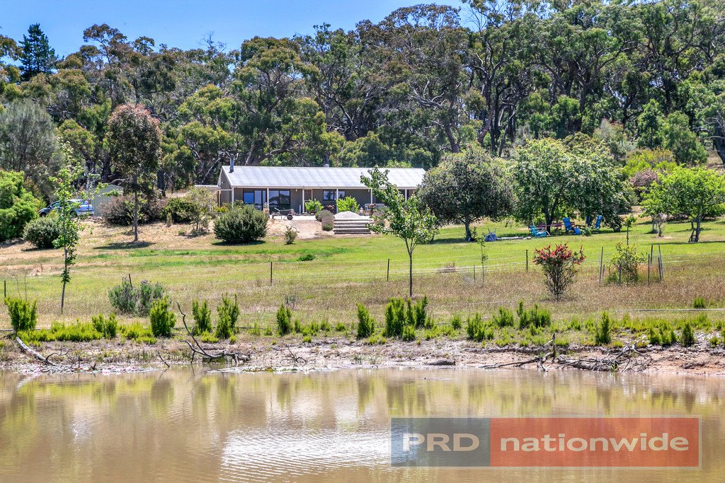 54 Crosier Road HAPPY VALLEY 12