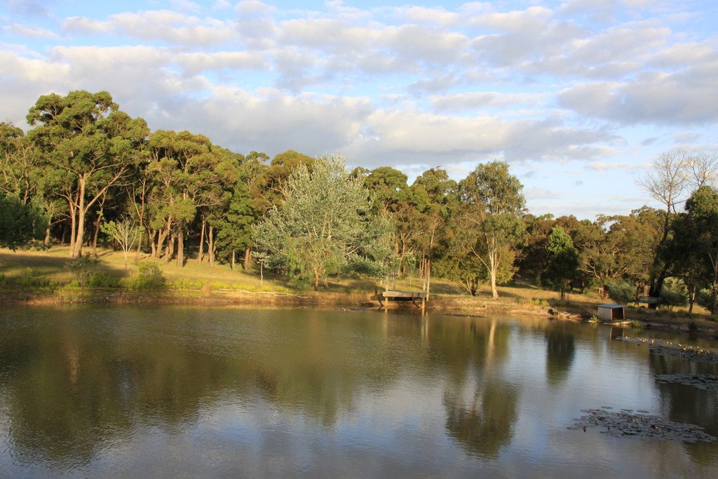 54 Crosier Road HAPPY VALLEY 14