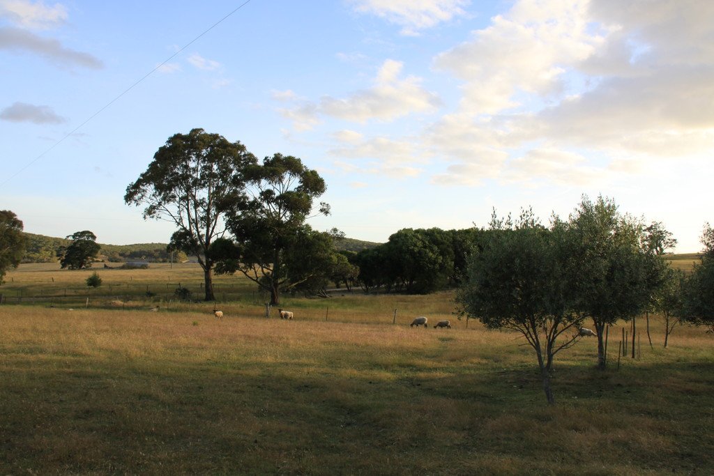 54 Crosier Road HAPPY VALLEY 16