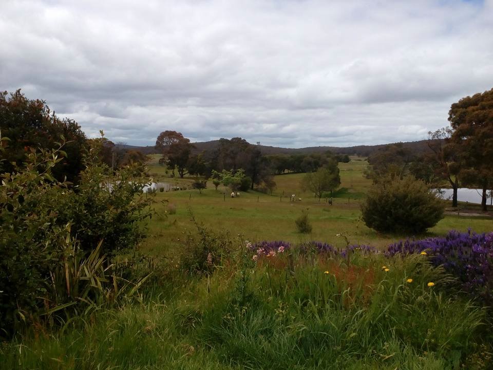 54 Crosier Road HAPPY VALLEY 18