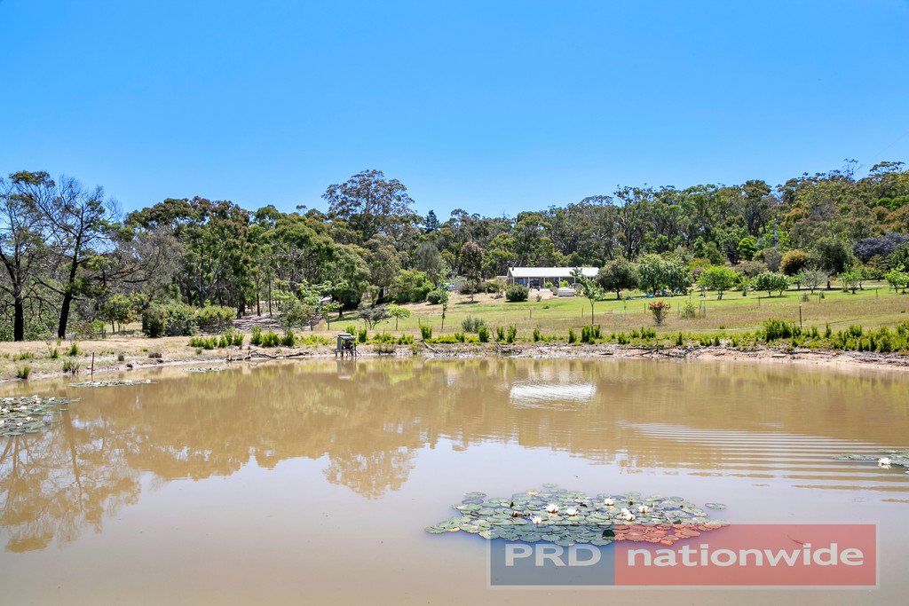 54 Crosier Road HAPPY VALLEY 23