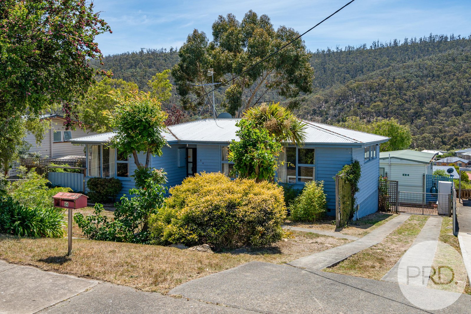 54 Currajong Street MORNINGTON 2