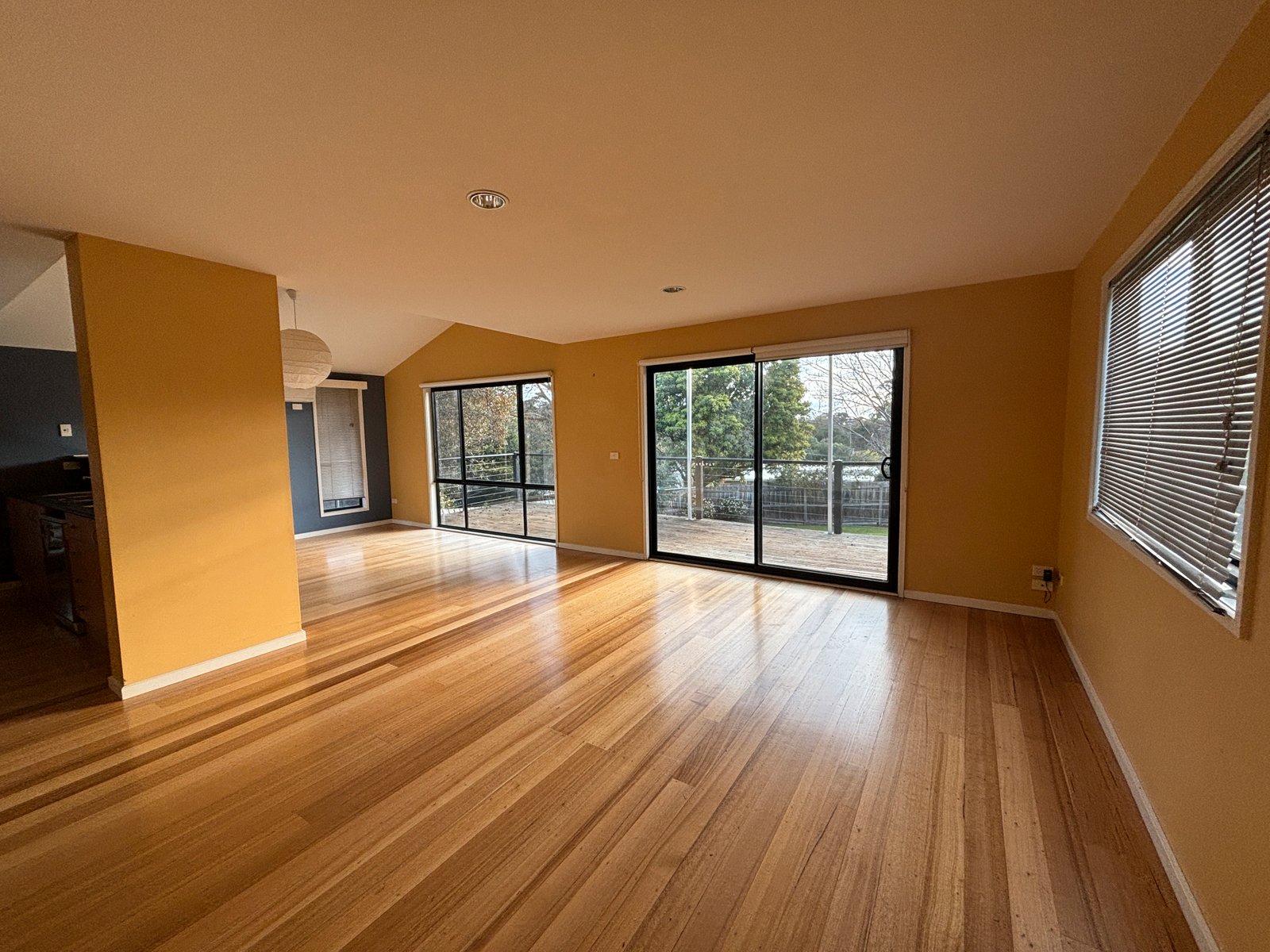 Gallery: 54 Field Street North