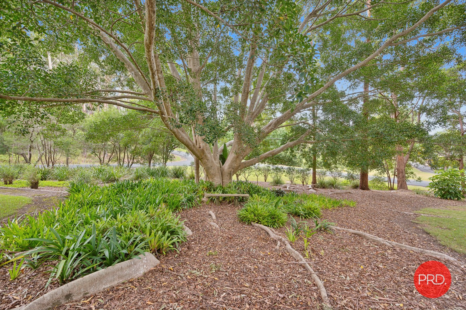 54 Hammond Road EMERALD BEACH 27
