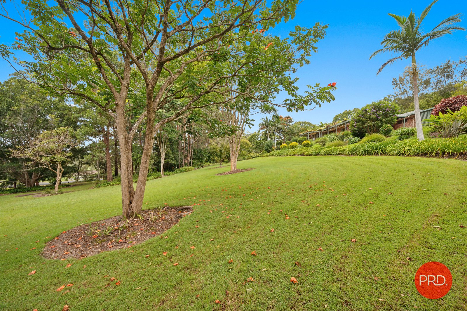 54 Hammond Road EMERALD BEACH 28