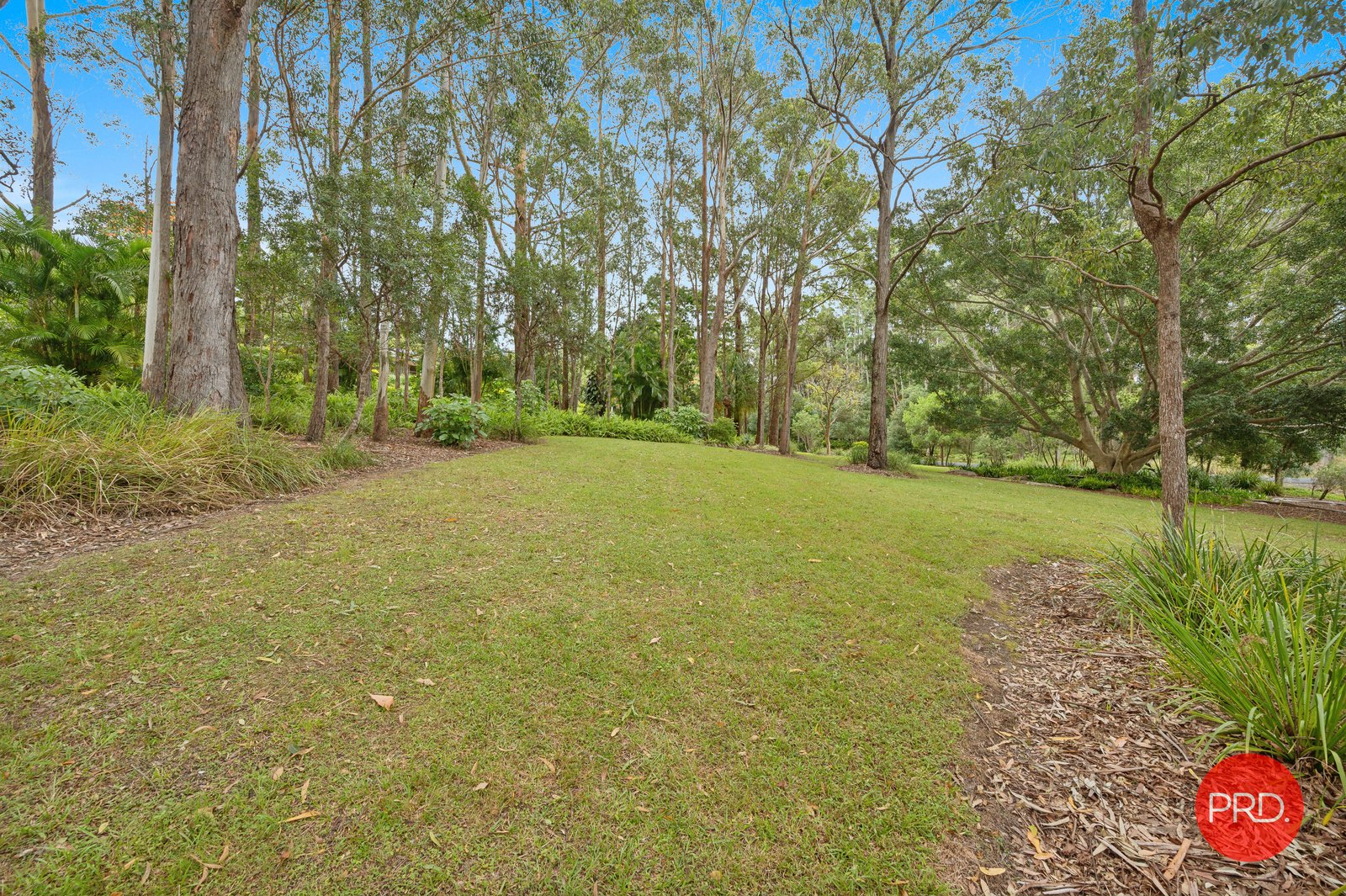 54 Hammond Road EMERALD BEACH 31