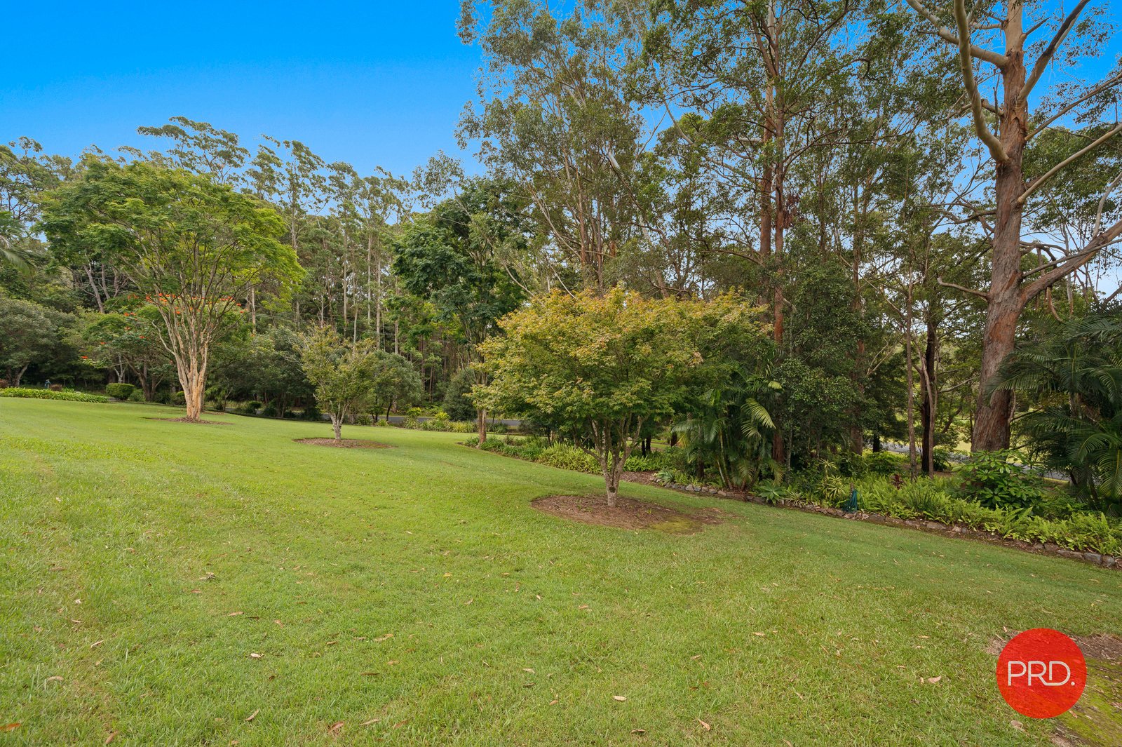 54 Hammond Road EMERALD BEACH 32