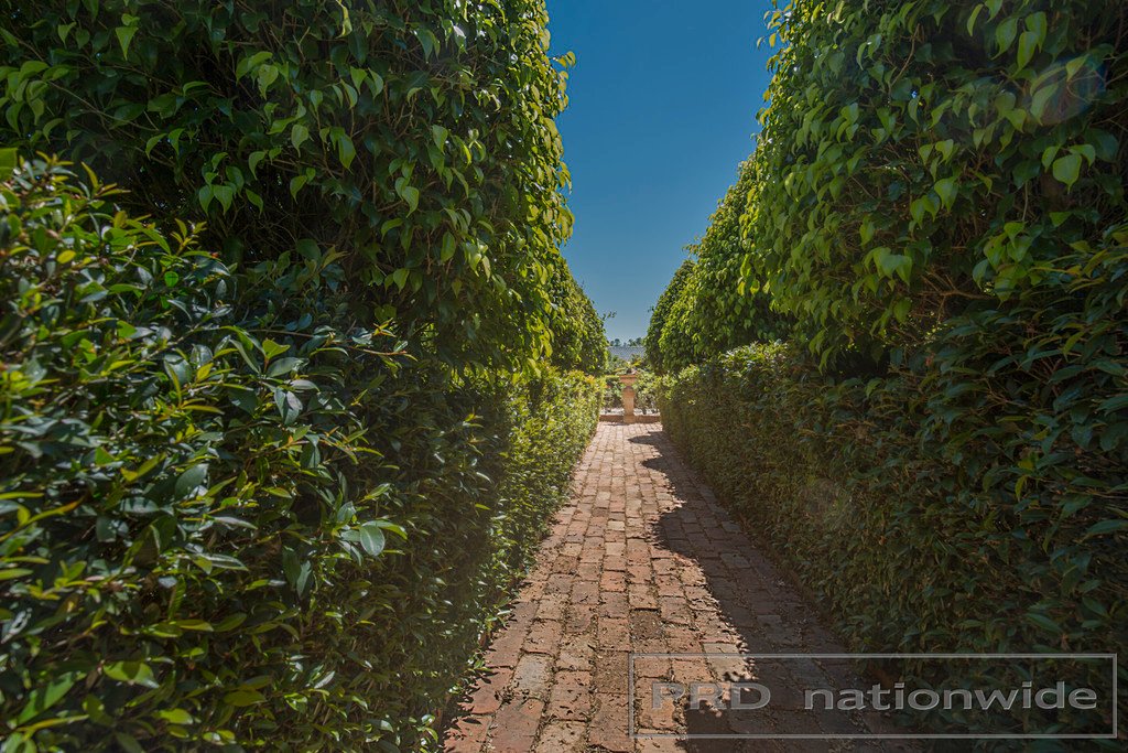 54 Hilldale Drive BOLWARRA HEIGHTS 22