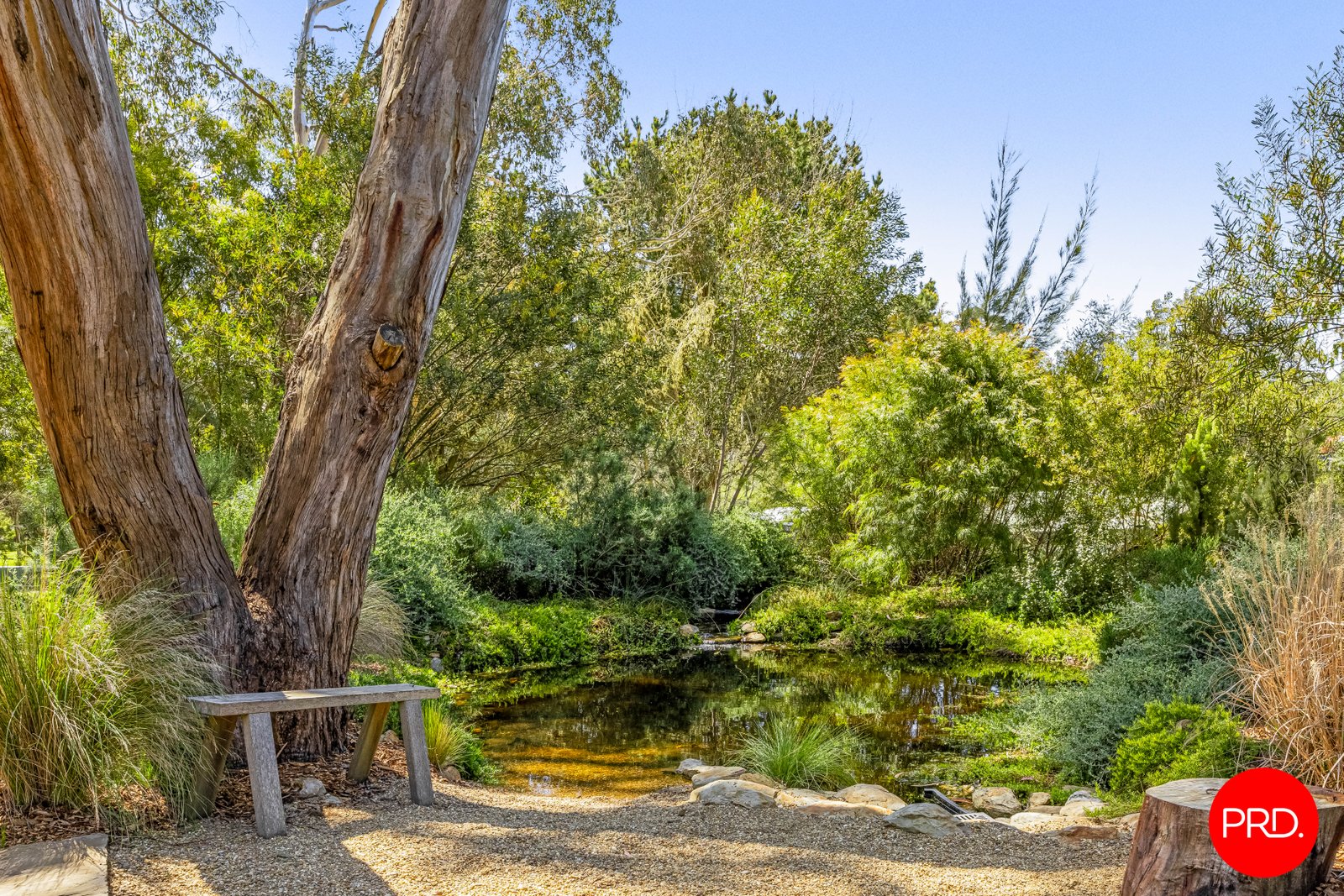 54 Main Street GORDON 32