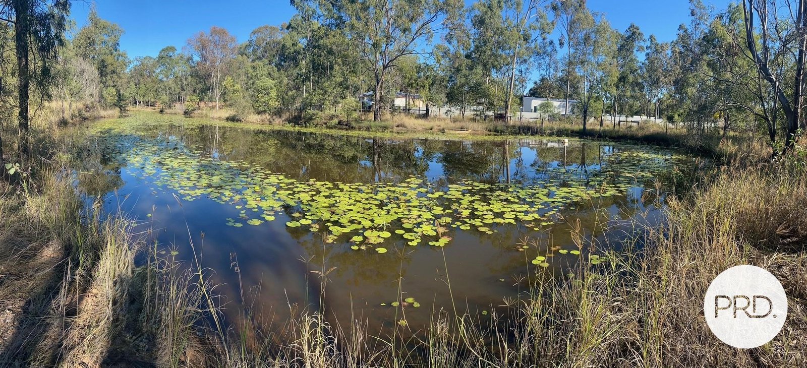 54 Mayfield Road PLACID HILLS 16