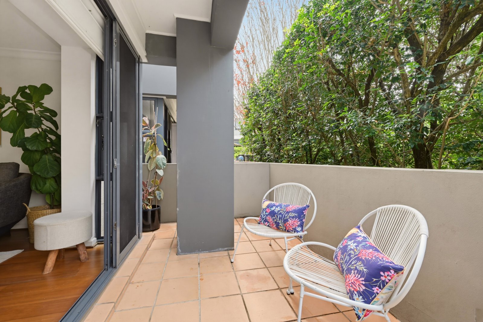 54/15 Begonia Street PAGEWOOD 2
