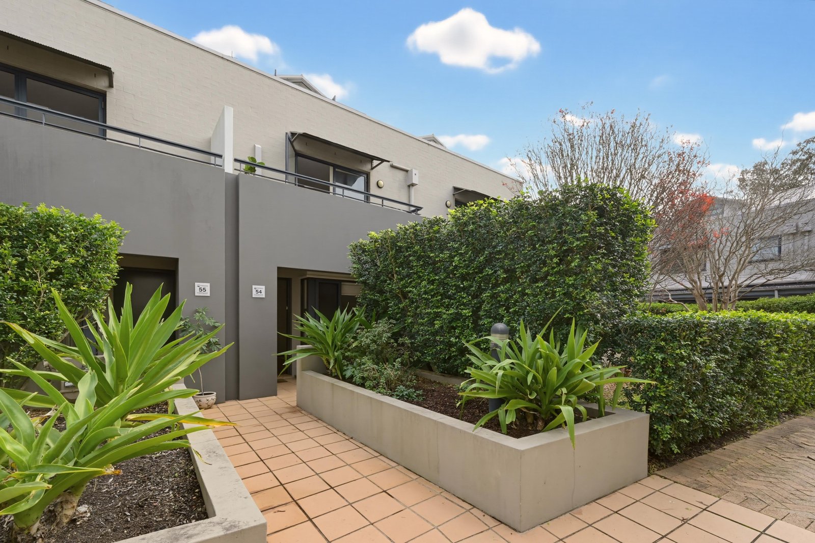 54/15 Begonia Street PAGEWOOD 19