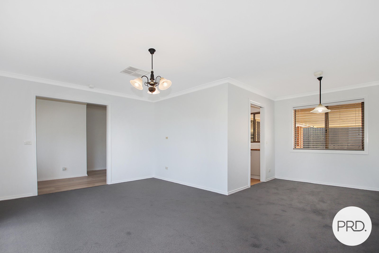 545 Daly Street LAVINGTON 2