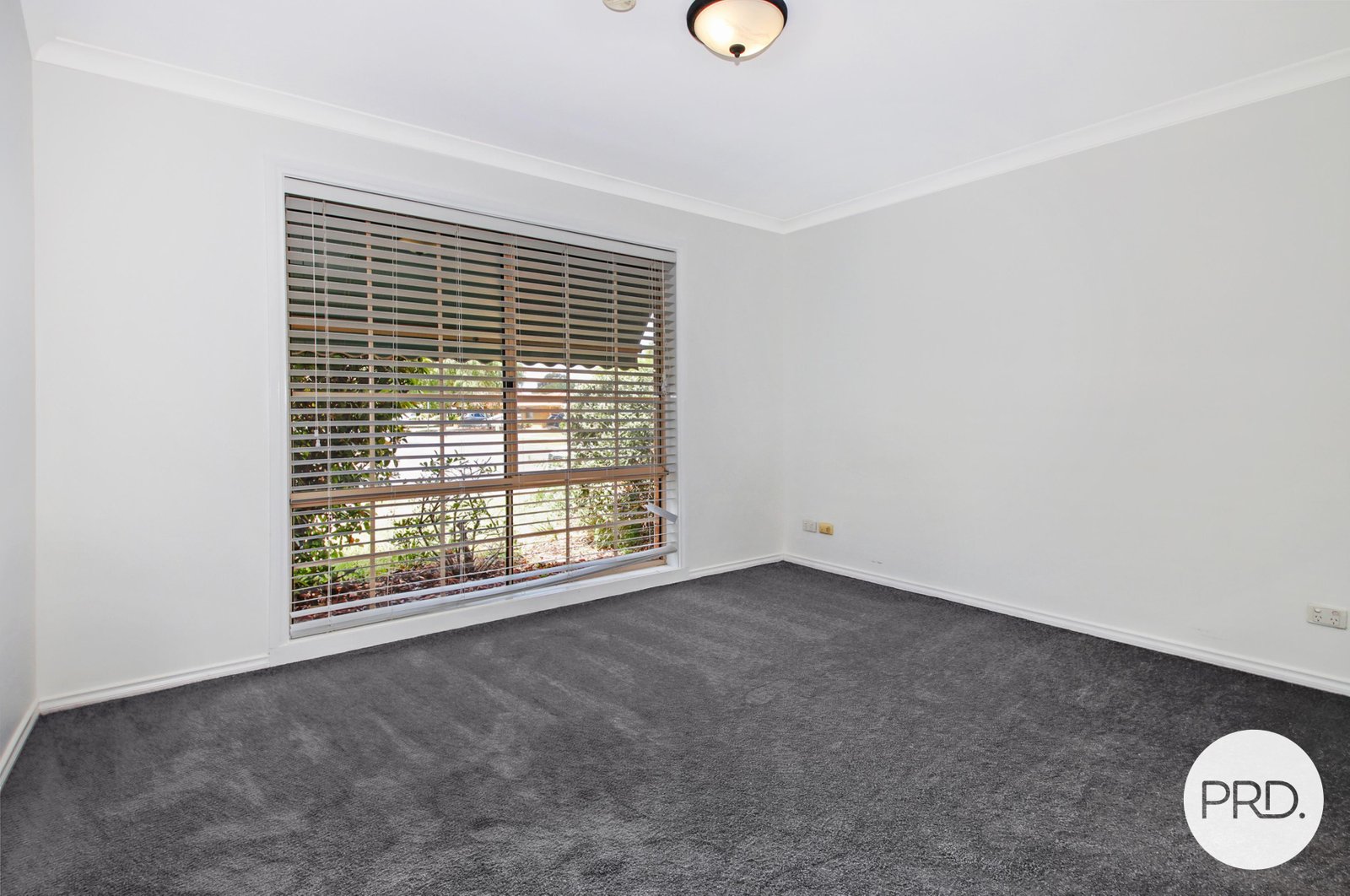 545 Daly Street LAVINGTON 6