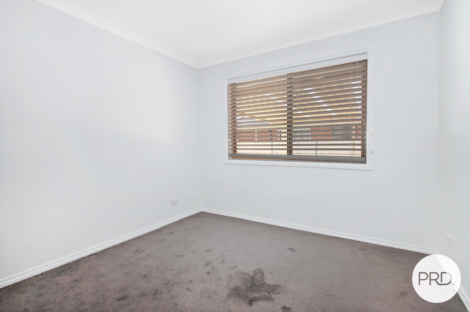 545 Daly Street LAVINGTON 7