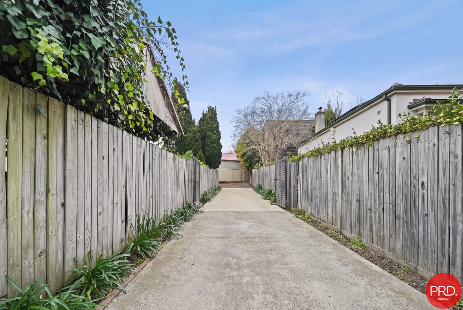 546 Homer Street EARLWOOD 8