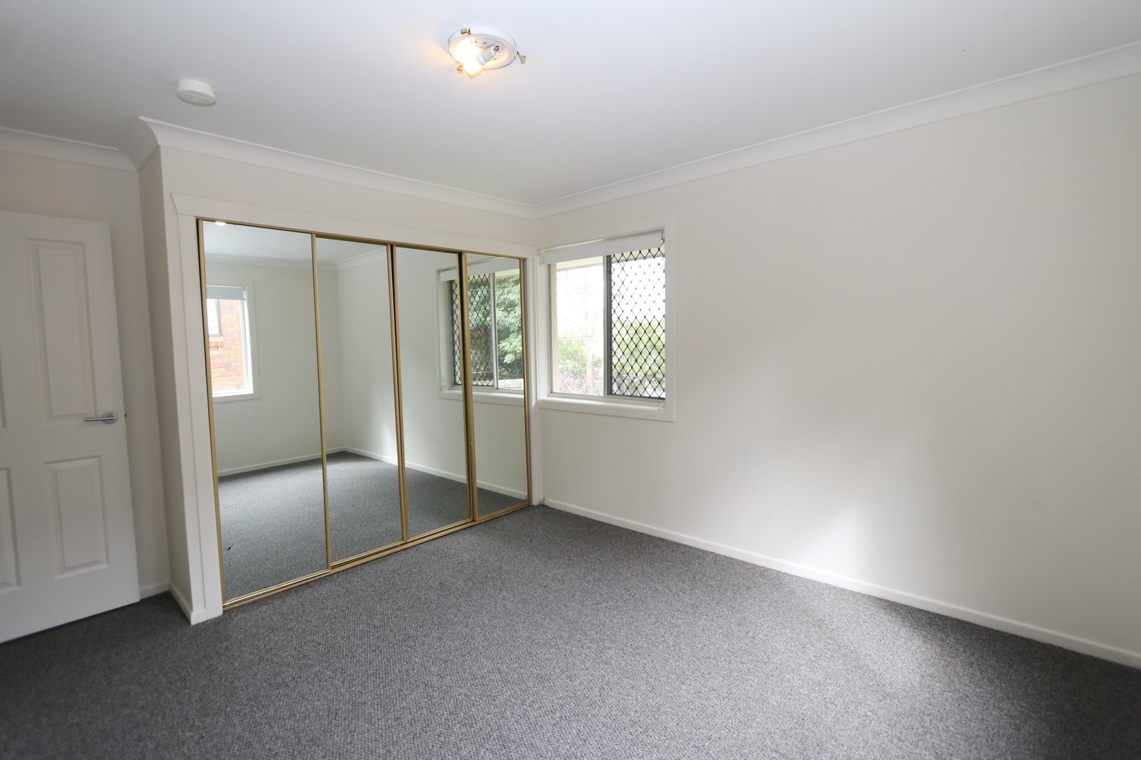 547 Ashmore Road ASHMORE 7