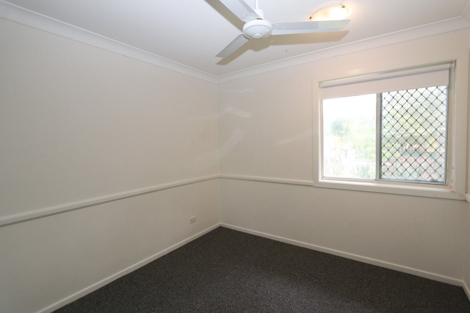 547 Ashmore Road ASHMORE 8