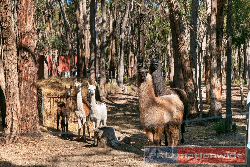 547 Hardies Hill Road GARIBALDI 25