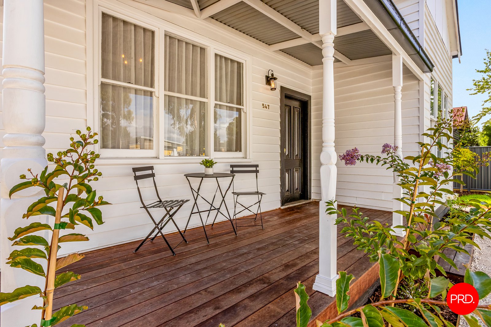 547 Napier Street WHITE HILLS 3