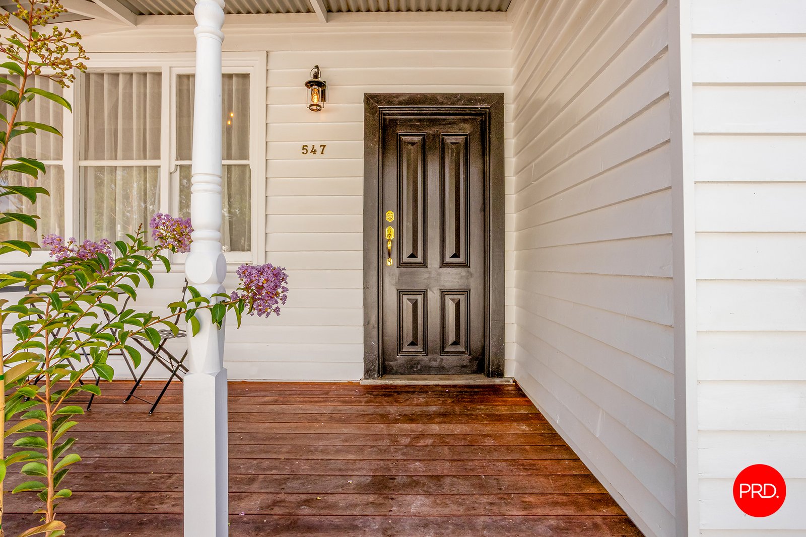 547 Napier Street WHITE HILLS 4