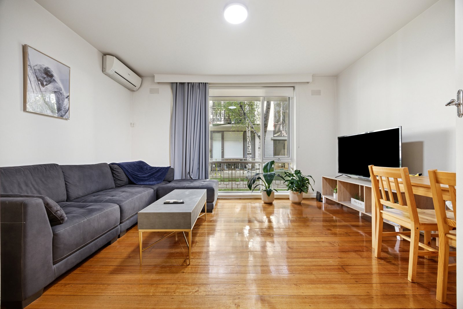Gallery: 5/476 North Road