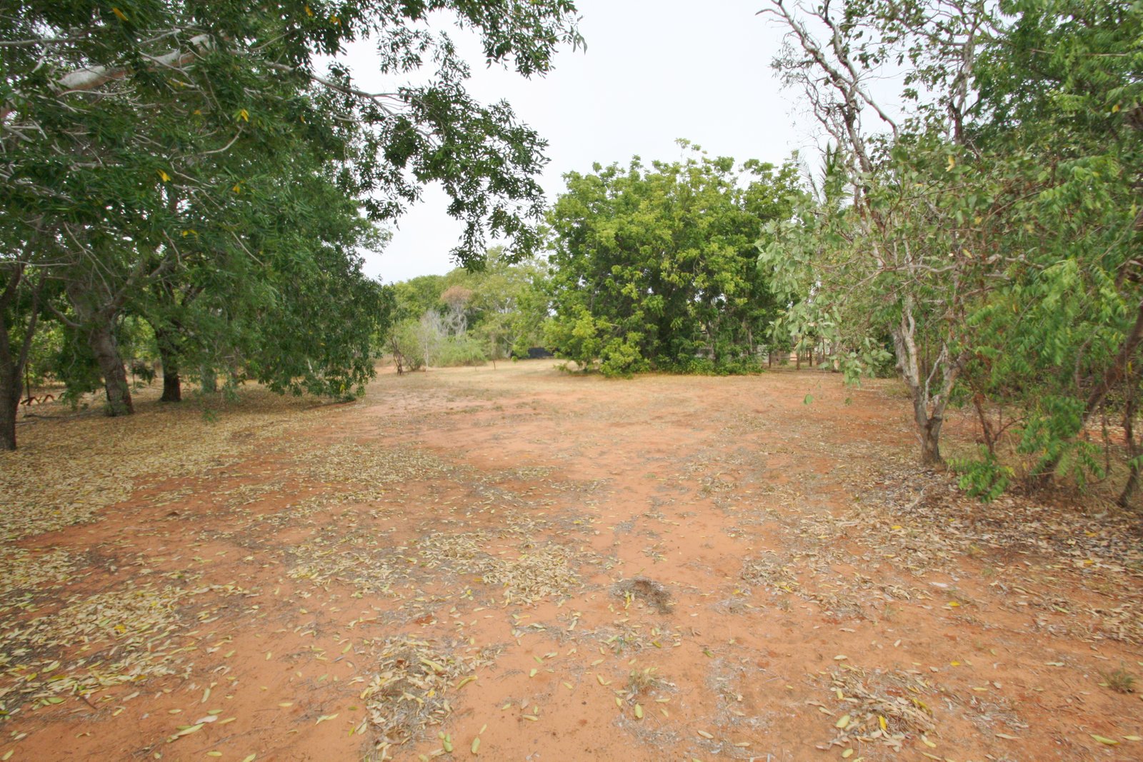548 Broome Road ROEBUCK 10