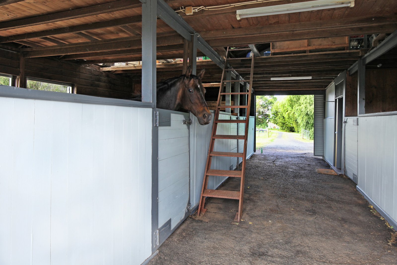 Real Estate and Property in 548 Lauriston Road, Kyneton, VIC