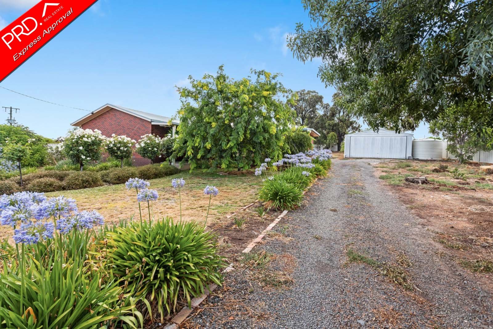 55-57 Watson Avenue CALIFORNIA GULLY 2