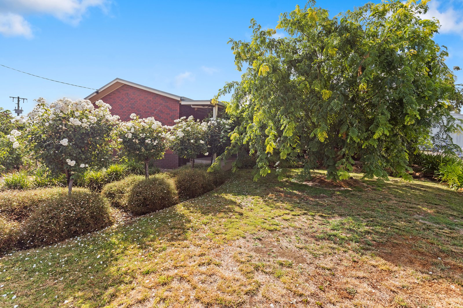 55-57 Watson Avenue CALIFORNIA GULLY 3