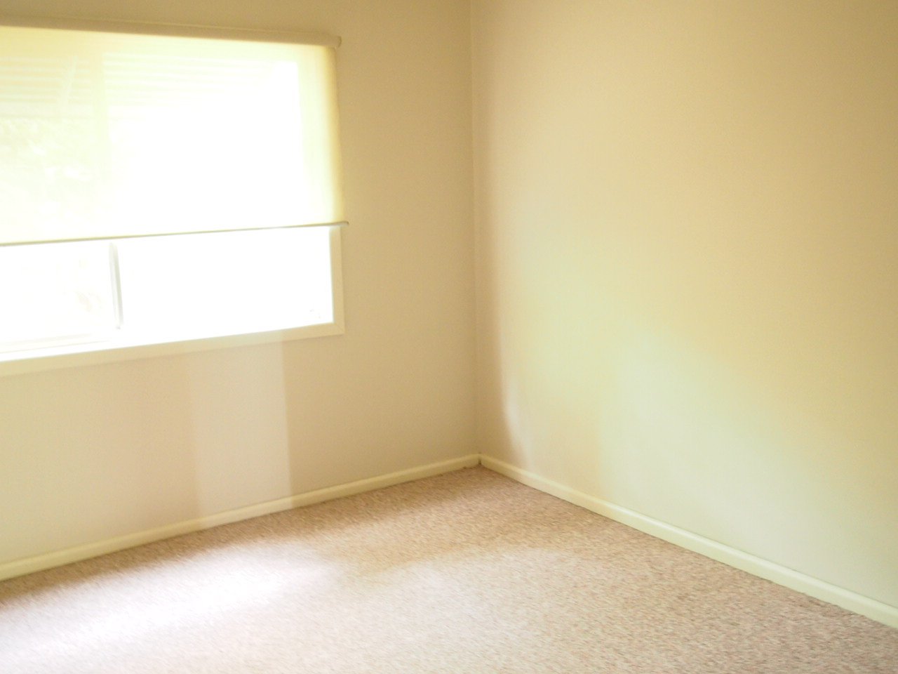 55 Ada Street OATLEY 2