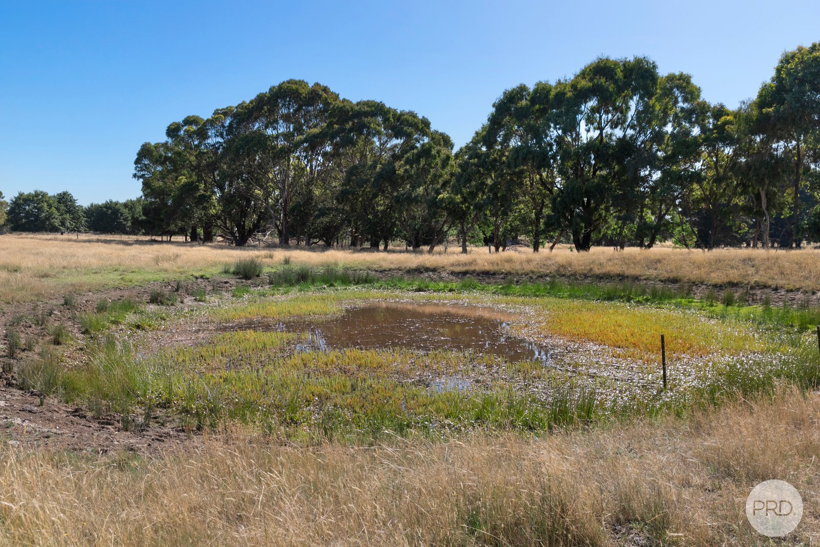 55 Ballantyne Lane YENDON 15