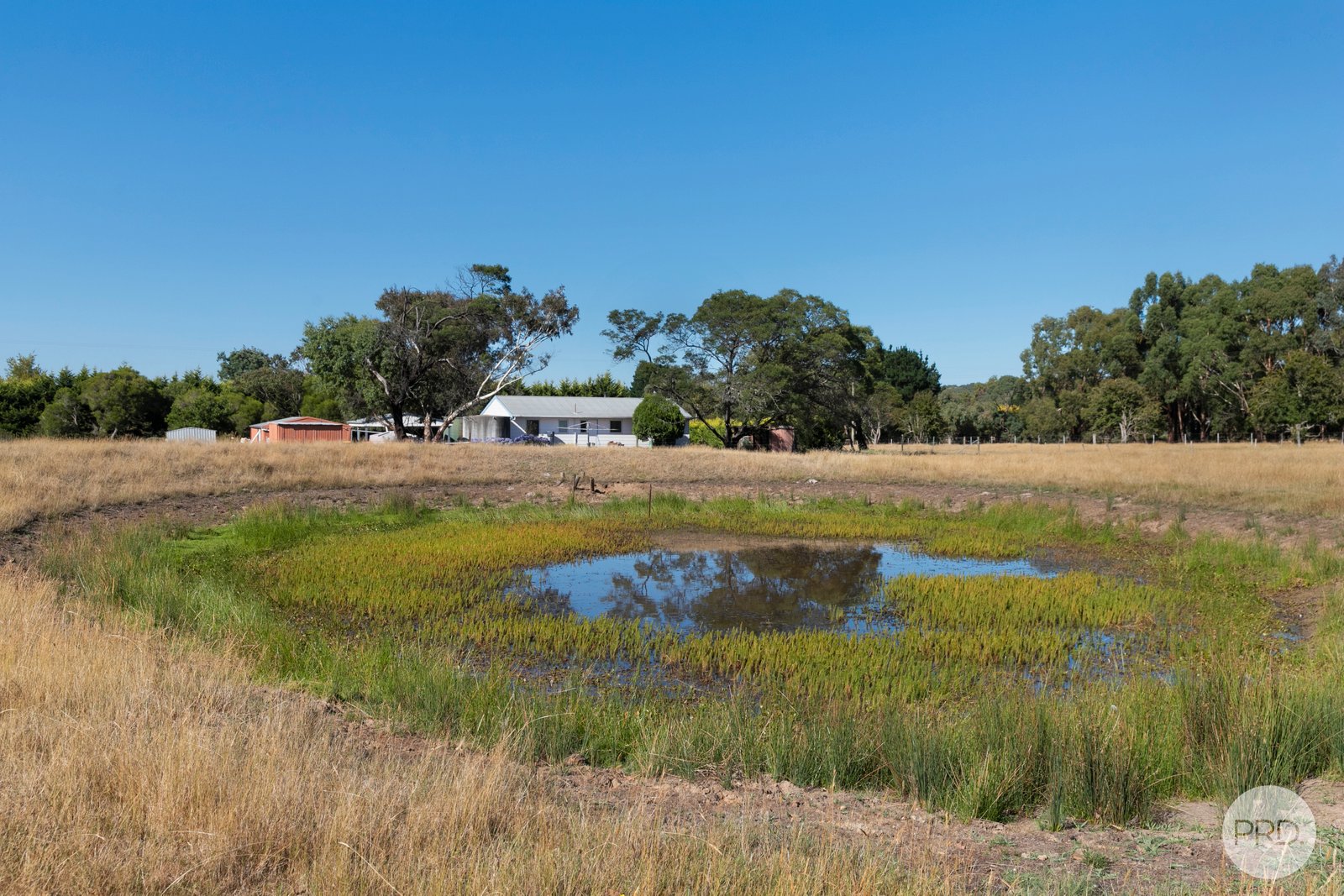 55 Ballantyne Lane YENDON 17