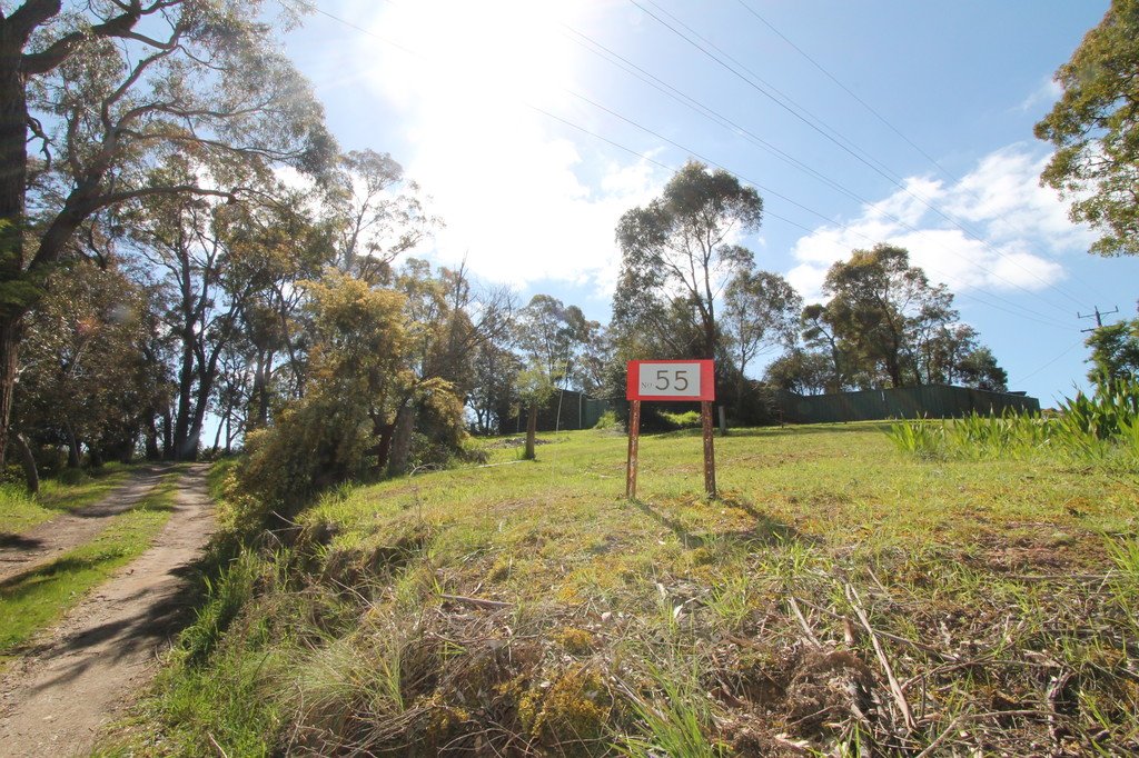55 Boundary Road BROWN HILL 2