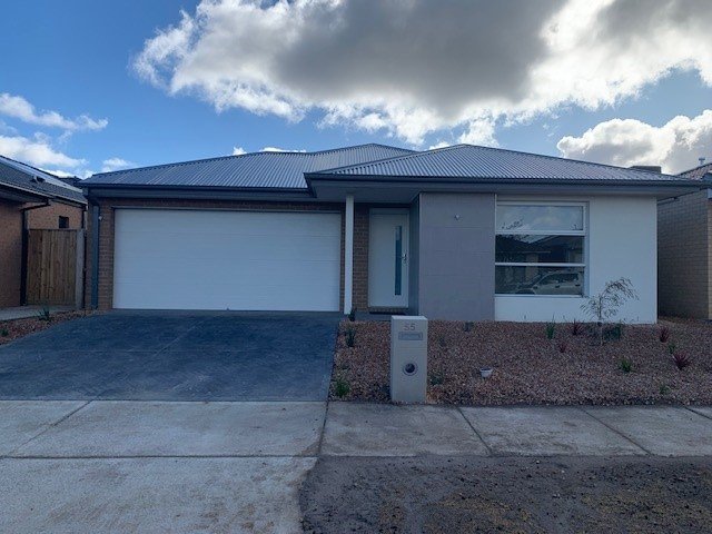Photos: 55 Callistemon Circuit