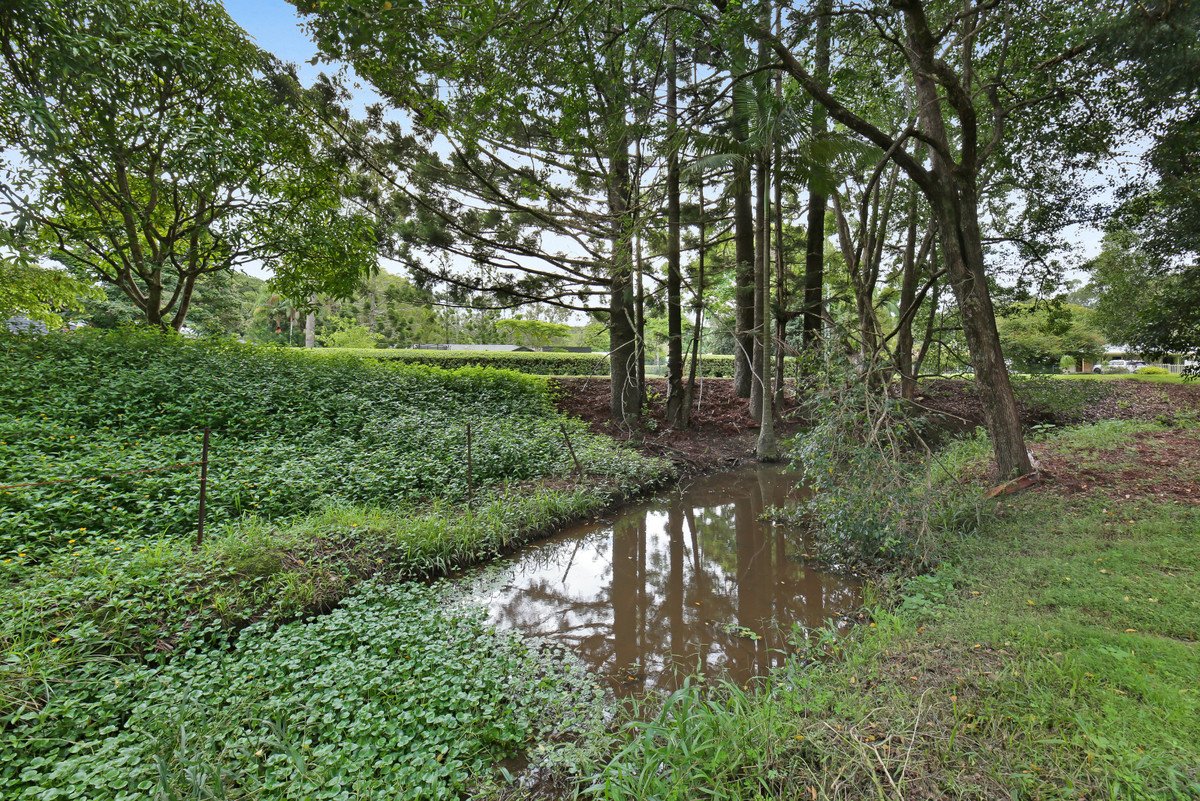 55 Coorabin Court Tallebudgera 11