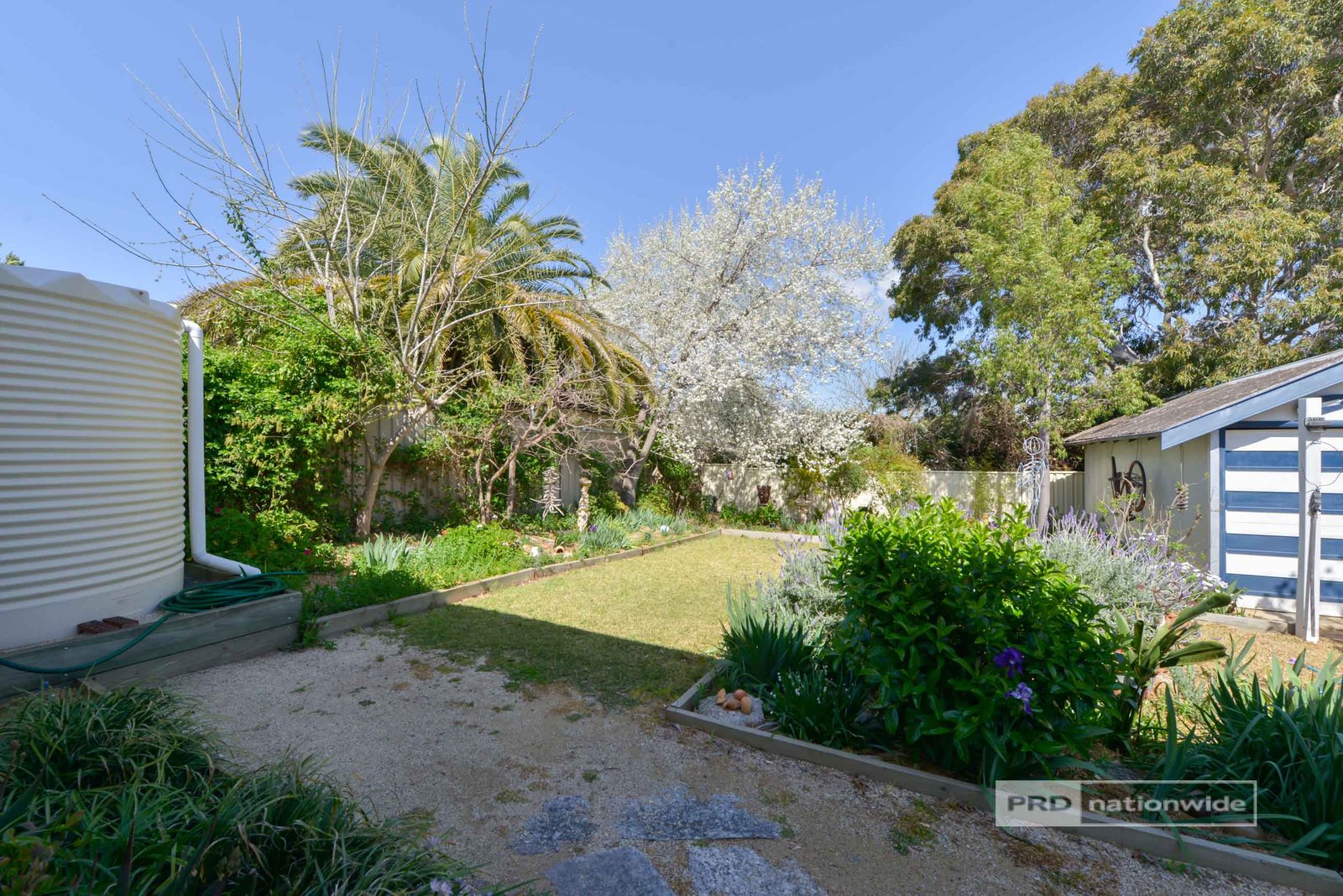 55 Dowell Avenue TAMWORTH 24