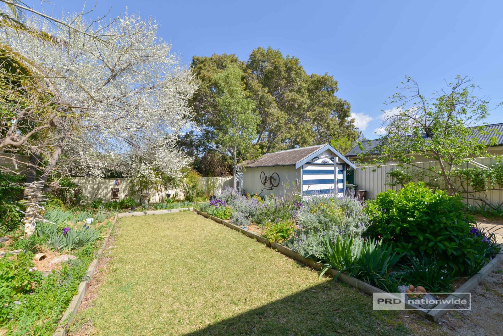 55 Dowell Avenue TAMWORTH 25